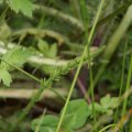 dsc08757