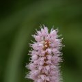 dsc08793