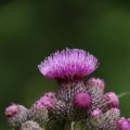 dsc08804