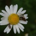 dsc08829