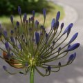 dsc08868