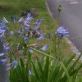 dsc08871