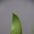 dsc08872
