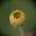 dsc08877