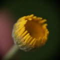 dsc08878