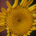 dsc08879