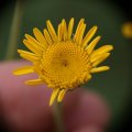 dsc08880