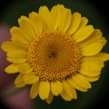 dsc08882