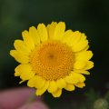 dsc08883