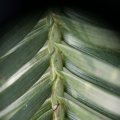 dsc08940