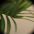 dsc08944