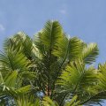 dsc08954