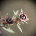 dsc08975