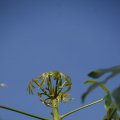 dsc09002