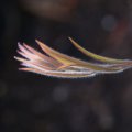 dsc09017