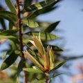 dsc09021