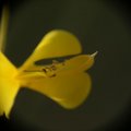 dsc09036