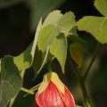 dsc09055