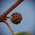 dsc09067