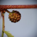 dsc09070