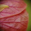 dsc09073