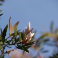 dsc09097