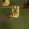 dsc09111