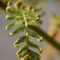 dsc09117