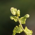 dsc09131