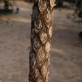 dsc09143