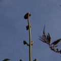 dsc09147