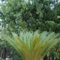 dsc09220