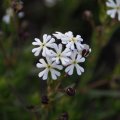 dsc09230