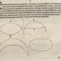 053DuererFlaechenlehreBeginn2