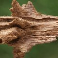 dsc00504