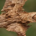 dsc00506