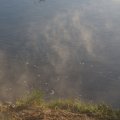 dsc00524