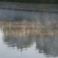 dsc00529