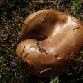 dsc00570