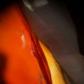 dsc00604