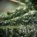 dsc00650