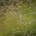 dsc00685