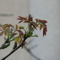 p1110139