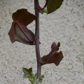 p1110220