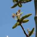 p1110352