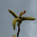 p1110353