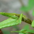 p1110365