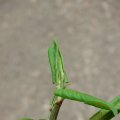 p1110372