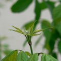p1110380