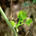 p1110517